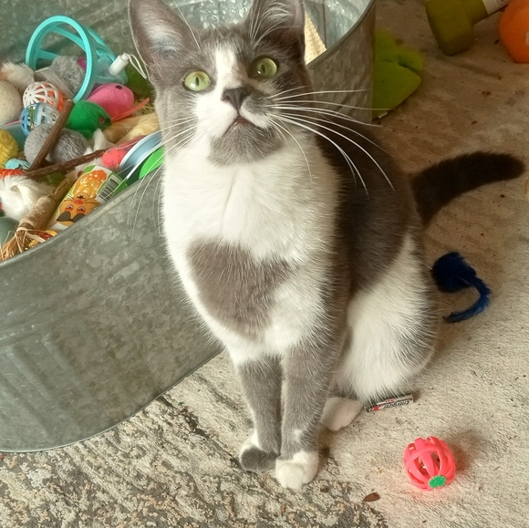 Meet your Posher, Katie - Picture 11 of 16